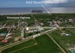 Rice mill and commercial property for sale – Corentyne (US$2,250,000) – Adler Bynoe