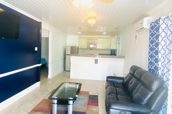 Businessmen’s Suite – Furnished 2-Bedroom Airbnb in Triumph, Guyana