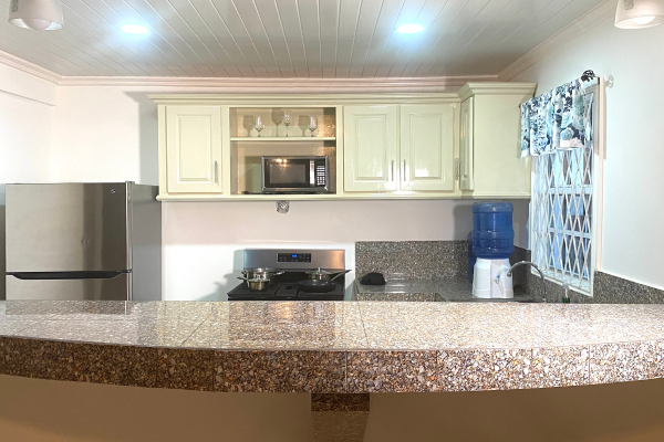 Businessmen’s Suite – Furnished 2-Bedroom Airbnb in Triumph, Guyana